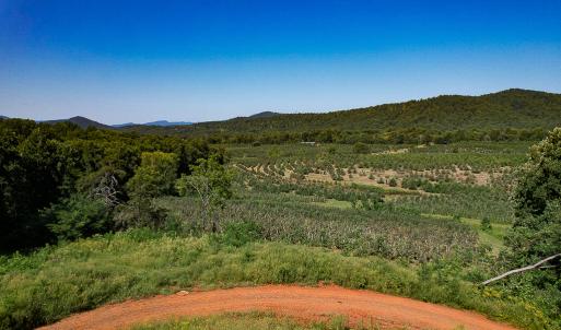 Photo #13 of SOLD property in Off Brush Mountain Trail , Covesville, VA 337.0 acres
