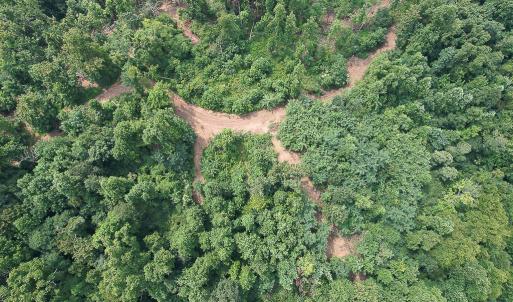 Photo #17 of SOLD property in Off Brush Mountain Trail , Covesville, VA 337.0 acres