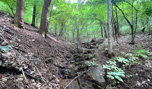 Photo #18 of SOLD property in Off Brush Mountain Trail , Covesville, VA 337.0 acres