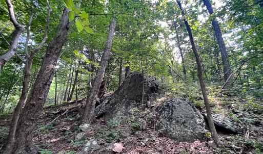 Photo #24 of SOLD property in Off Brush Mountain Trail , Covesville, VA 337.0 acres
