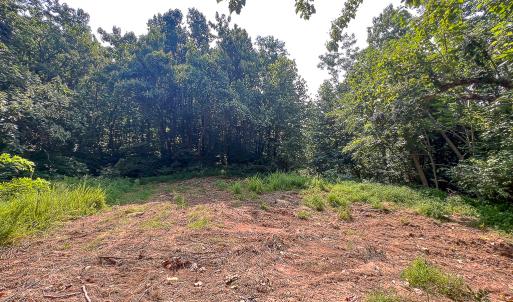 Photo #25 of SOLD property in Off Brush Mountain Trail , Covesville, VA 337.0 acres