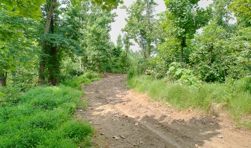 Photo #27 of SOLD property in Off Brush Mountain Trail , Covesville, VA 337.0 acres