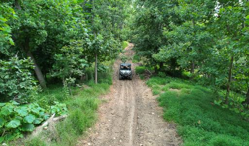 Photo #28 of SOLD property in Off Brush Mountain Trail , Covesville, VA 337.0 acres