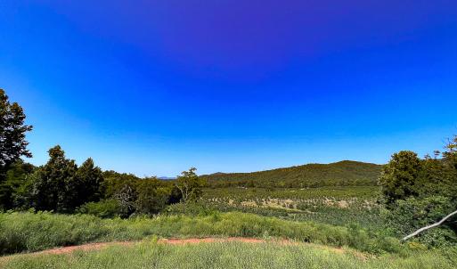 Photo #30 of SOLD property in Off Brush Mountain Trail , Covesville, VA 337.0 acres