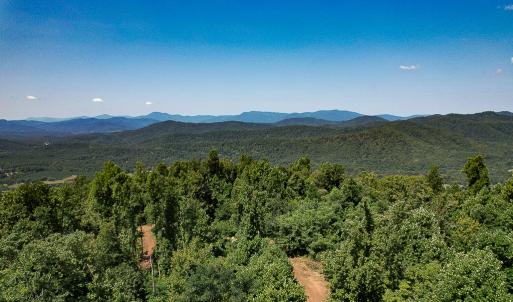 Photo #31 of SOLD property in Off Brush Mountain Trail , Covesville, VA 337.0 acres