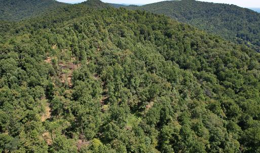 Photo #32 of SOLD property in Off Brush Mountain Trail , Covesville, VA 337.0 acres