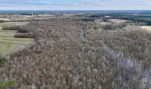 Photo #2 of Off Dixon Rd, Chocowinity, NC 67.6 acres