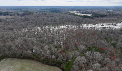Photo #12 of Off Dixon Rd, Chocowinity, NC 67.6 acres