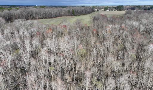 Photo #14 of Off Dixon Rd, Chocowinity, NC 67.6 acres