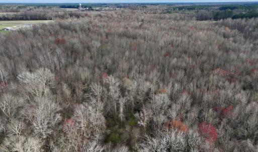 Photo #19 of Off Dixon Rd, Chocowinity, NC 67.6 acres