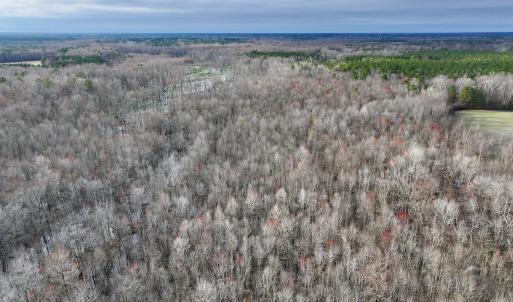 Photo #20 of Off Dixon Rd, Chocowinity, NC 67.6 acres