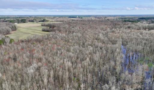 Photo #3 of Off Dixon Rd, Chocowinity, NC 67.6 acres
