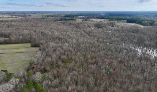Photo #4 of Off Dixon Rd, Chocowinity, NC 67.6 acres