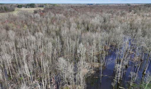 Photo #7 of Off Dixon Rd, Chocowinity, NC 67.6 acres