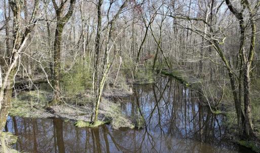 Photo #9 of Off Dixon Rd, Chocowinity, NC 67.6 acres