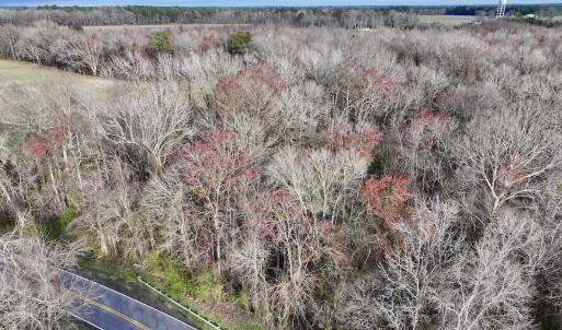 Photo #25 of Off Dixon Rd, Chocowinity, NC 67.6 acres