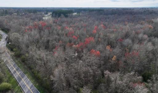 Photo #26 of Off Dixon Rd, Chocowinity, NC 67.6 acres