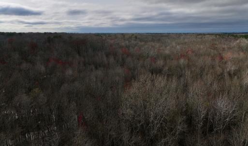 Photo #29 of Off Dixon Rd, Chocowinity, NC 67.6 acres
