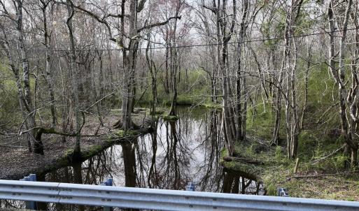 Photo #32 of Off Dixon Rd, Chocowinity, NC 67.6 acres