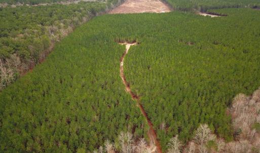 Photo #2 of SOLD property in Off Hilltop Lane, Skippers, VA 70.3 acres