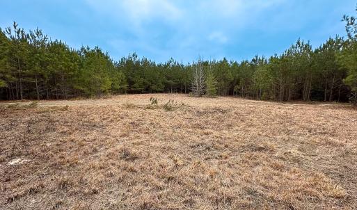 Photo #4 of SOLD property in Off Hilltop Lane, Skippers, VA 70.3 acres