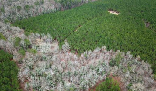 Photo #6 of SOLD property in Off Hilltop Lane, Skippers, VA 70.3 acres