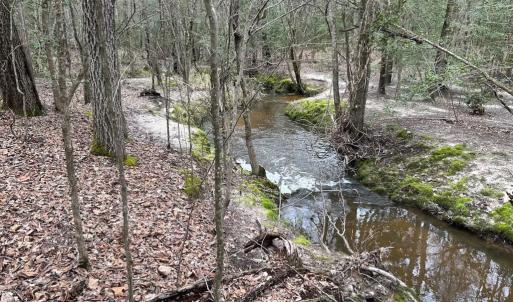Photo #7 of SOLD property in Off Hilltop Lane, Skippers, VA 70.3 acres