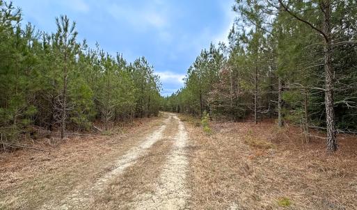 Photo #8 of SOLD property in Off Hilltop Lane, Skippers, VA 70.3 acres