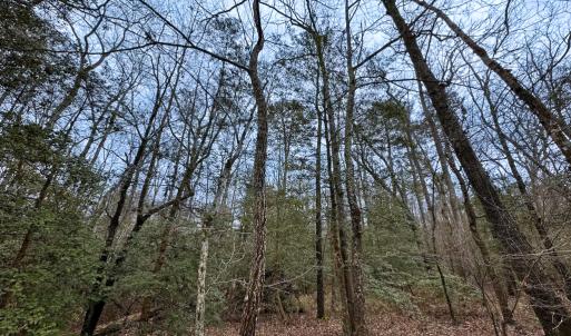 Photo #9 of SOLD property in Off Hilltop Lane, Skippers, VA 70.3 acres