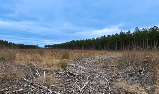 Photo #11 of SOLD property in Off Hilltop Lane, Skippers, VA 70.3 acres