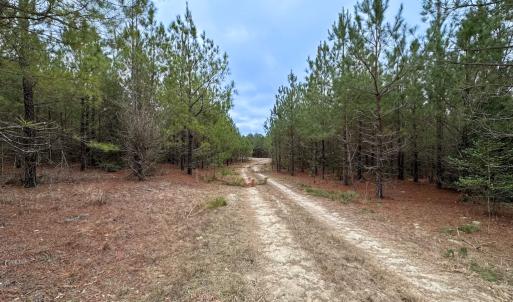 Photo #12 of SOLD property in Off Hilltop Lane, Skippers, VA 70.3 acres