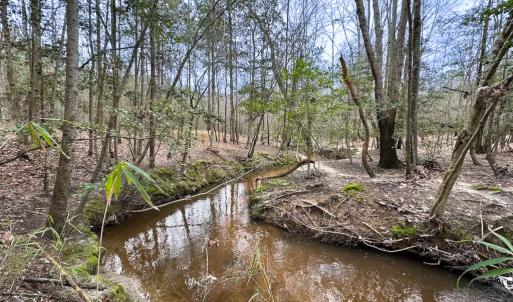 Photo #13 of SOLD property in Off Hilltop Lane, Skippers, VA 70.3 acres