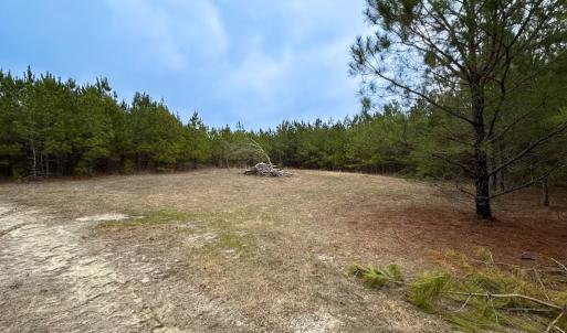 Photo #14 of SOLD property in Off Hilltop Lane, Skippers, VA 70.3 acres