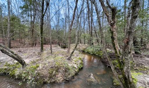Photo #17 of SOLD property in Off Hilltop Lane, Skippers, VA 70.3 acres