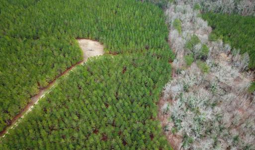 Photo #18 of SOLD property in Off Hilltop Lane, Skippers, VA 70.3 acres