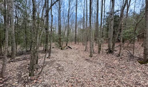 Photo #19 of SOLD property in Off Hilltop Lane, Skippers, VA 70.3 acres