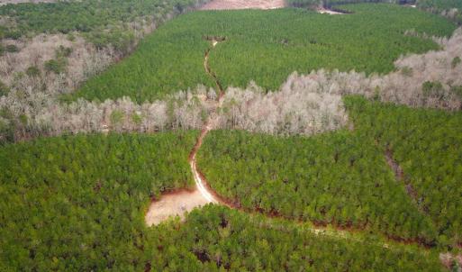 Photo #21 of SOLD property in Off Hilltop Lane, Skippers, VA 70.3 acres