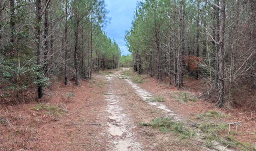 Photo #22 of SOLD property in Off Hilltop Lane, Skippers, VA 70.3 acres