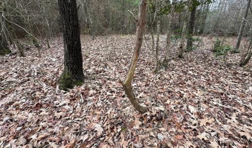 Photo #23 of SOLD property in Off Hilltop Lane, Skippers, VA 70.3 acres