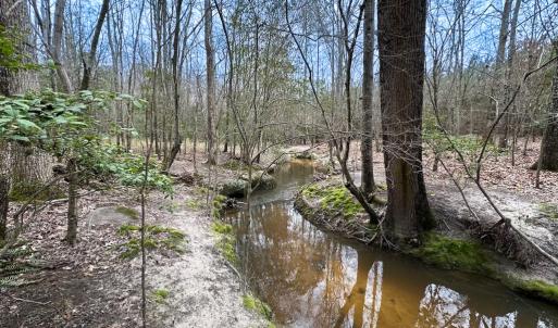Photo #24 of SOLD property in Off Hilltop Lane, Skippers, VA 70.3 acres
