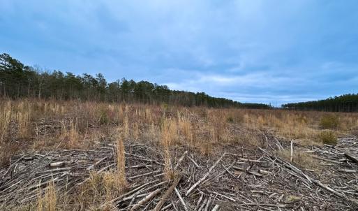 Photo #25 of SOLD property in Off Hilltop Lane, Skippers, VA 70.3 acres
