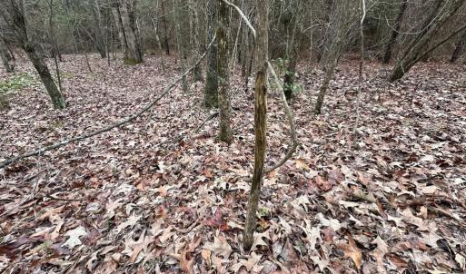 Photo #26 of SOLD property in Off Hilltop Lane, Skippers, VA 70.3 acres