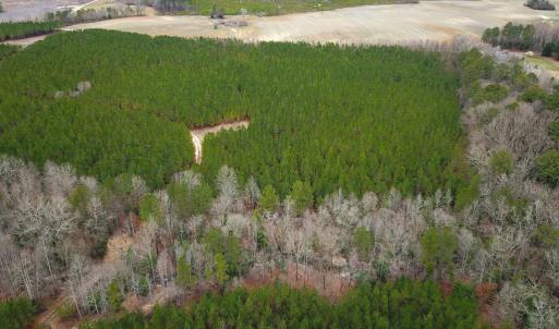 Photo #27 of SOLD property in Off Hilltop Lane, Skippers, VA 70.3 acres