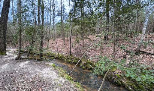 Photo #28 of SOLD property in Off Hilltop Lane, Skippers, VA 70.3 acres