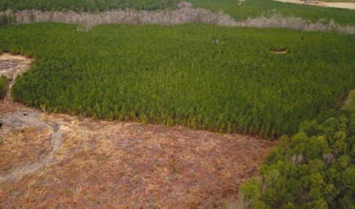 Photo #29 of SOLD property in Off Hilltop Lane, Skippers, VA 70.3 acres