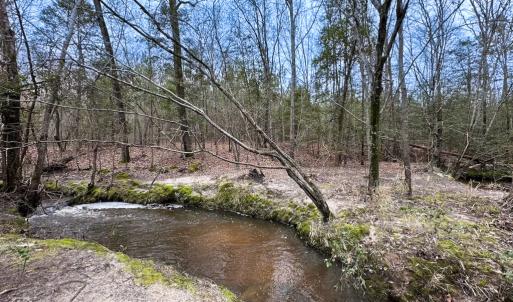 Photo #3 of SOLD property in Off Hilltop Lane, Skippers, VA 70.3 acres