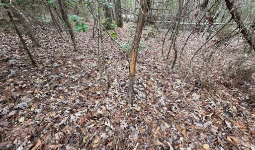 Photo #30 of SOLD property in Off Hilltop Lane, Skippers, VA 70.3 acres
