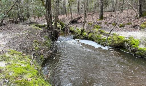 Photo #31 of SOLD property in Off Hilltop Lane, Skippers, VA 70.3 acres