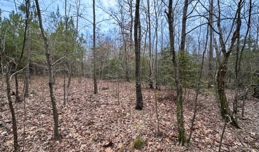 Photo #34 of SOLD property in Off Hilltop Lane, Skippers, VA 70.3 acres