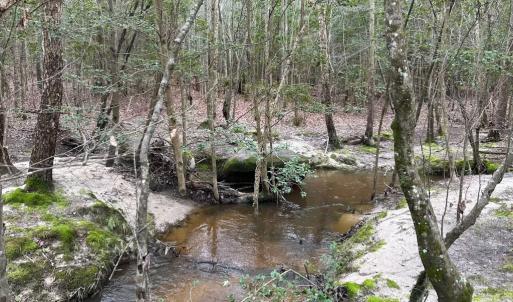 Photo #35 of SOLD property in Off Hilltop Lane, Skippers, VA 70.3 acres